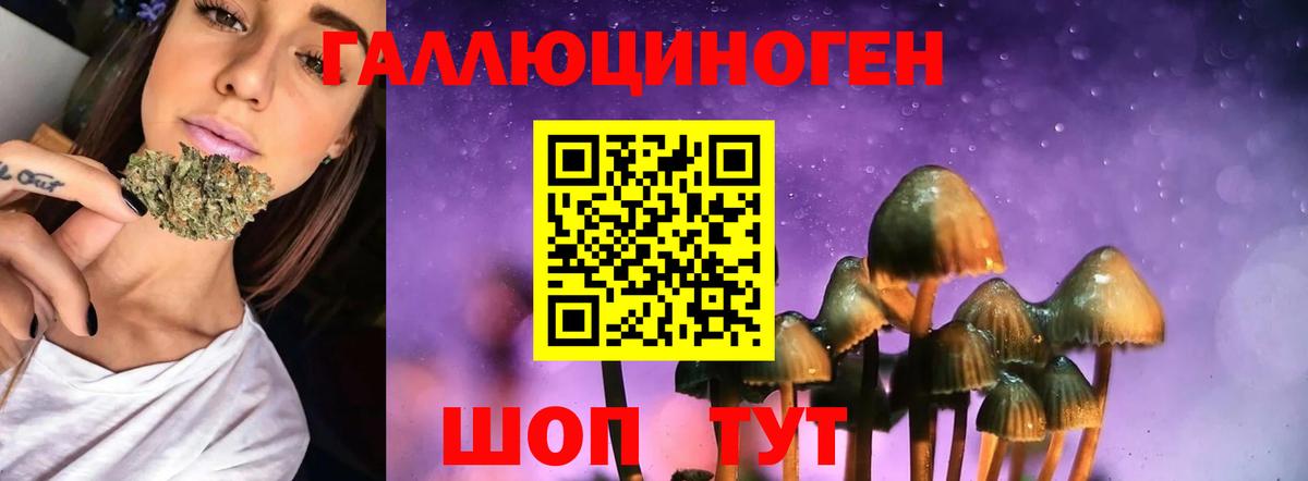 Галлюциногенные грибы Cubensis  Вход с VPN  Кстово 